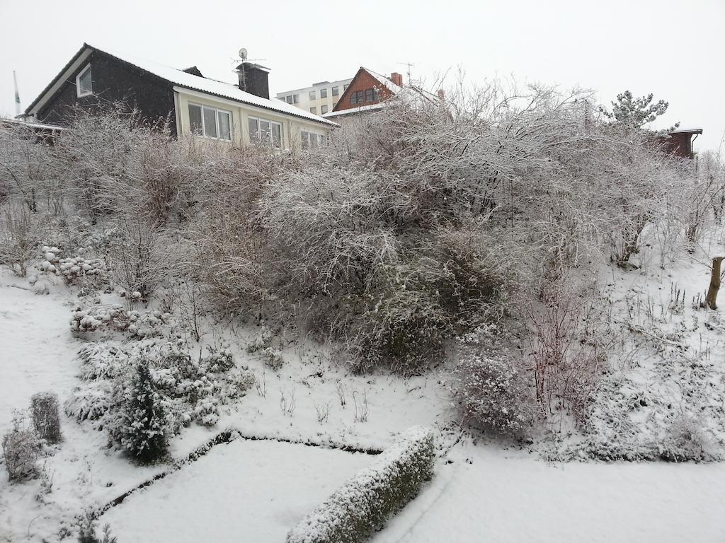 Ferienwohnung Am Paradies Bad Lauterberg Eksteriør billede