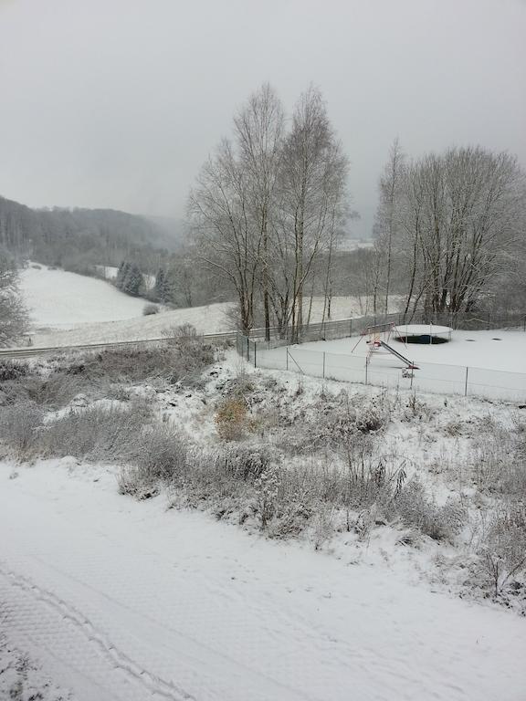 Ferienwohnung Am Paradies Bad Lauterberg Eksteriør billede